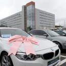 카쇼(CAR SHOW) 이미지