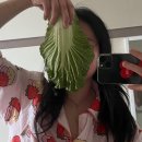 부자하누 | 어글리어스 봄동 비빔밥 17회차 배송 자취생 집밥 내돈내산 후기!