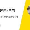 야옹아멍멍해봐강아지고양이충남