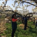 이문영농가 이미지