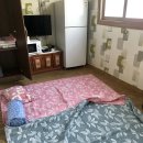 성일민박 이미지