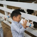 공작2길 이미지