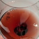 약령시허브그린협동조합 | 프로두토리 델 바르바레스코, 바르바레스코(Produttori del Barbaresco, Barbaresco) 2021