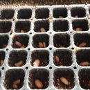 부여농장 이미지