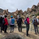 Joshua Tree NP 에 2박3일 다녀왔읍니다 이미지