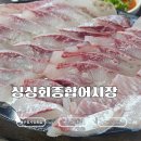 부평종합시장 | 부평시장역 횟집 싱싱회종합어시장 │ 숭어회 직접 먹어본 후기