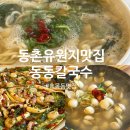 3348 | 동촌유원지맛집 : 동동칼국수 동촌유원지점 / 칼국수랑 파전이 맛있는 대구맛집