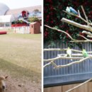 삼만목장 이미지