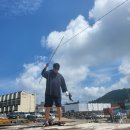 아마스빌리조트 | 7월 셋째주 시온이네랑 주말여행 아마스빌