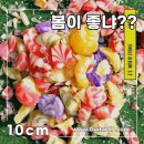 핑거스타일 기타 이미지