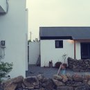 [하도마을]하도리안