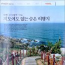 여성중앙 카카오 검색결과