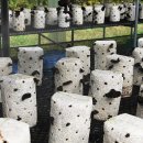 청봉농장 이미지