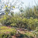 과천지식정보타운공인중개사사무소 이미지