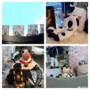 청신목장 이미지