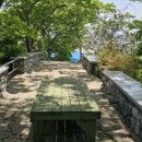 꽃섬해물 이미지