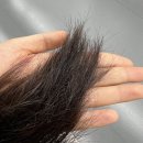 블룸헤어(bloom헤어) | [신논현역미용실추천] 반포동미용실 드라이 토키오클리닉 잘하는 블룸 BLOOM 헤어샵