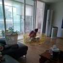 애니온동물병원 이미지