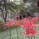 좌구산 휴양림 관리사무소 이미지