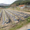 연산부자부동산중개사무소 이미지