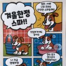 귀빈펫살롱 이미지