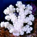 (주)생물나라 이미지