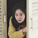 하이바이