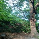 금화계곡주차장 이미지