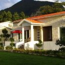 이디살래 이미지