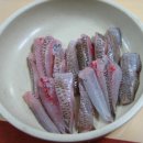 탐라물회