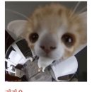내락곡 이미지