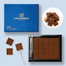 🍎재현과일 ㅡ 산지직송 설향딸기 왕특 공구, 스테비아 토마토 최저가 공구, 크리스마스 초코케이크 선주문 받아요 이미지