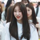 이채연 카카오 검색결과