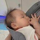 가인좌훈앤카페 | 동탄 아기수영장 & 아기실내놀이터 [물노리베이비 동탄] 7개월 8개월 아기가 신나게 놀다 꿀잠엔딩