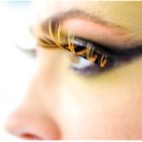 강남대학교 경영대학원 이미지