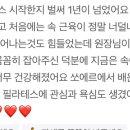 쏘에르필라테스