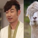 알파목장 네이버블로그