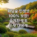 진포토 - 은평구 통일로 717 | 진포토