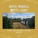 불란지스테이 이미지