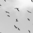 수원-1373 이미지