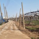 명동리 마을회관 이미지