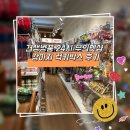 견생냥품 서울 노원역점 | [노원역무인펫샵] 견생냥품 24시 무인펫샵 노원역 강아지 럭키박스 후기