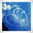 버들피리 이미지