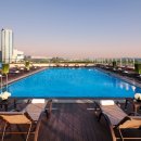 소노캄 고양 이미지