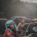 으뜸요양원 이미지