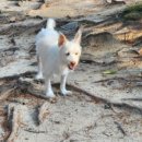 우리들동물종합병원 이미지