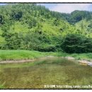 숲속의 샘물 캠핑장 이미지