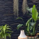 카르마코리아 이미지