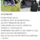베베삼촌 | 제주 육아맘 필수 서비스! 유모차·카시트 전문 세탁소 베베삼촌