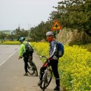 자전거 여행 이미지